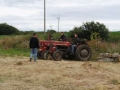 7dpart pour un croissement sous le ragard de louis castrec.jpg