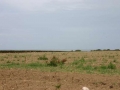 plougonvelin 101_photoredukto.jpg