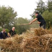 18 octobre 2015 Pardon des châtaignes Lanrivoaré