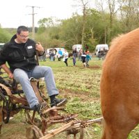 8 mai 2016 fête du cheval Tréouergat