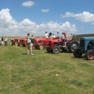 29 juin 2014 Fête Bretonne Plougonvelin